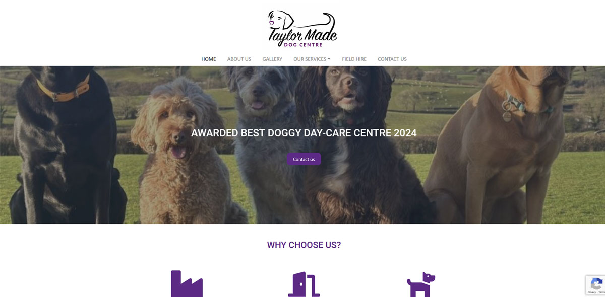 Taylor Made Doggy Daycare homepage screenshot